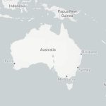 australian tarantula pet fact (6)