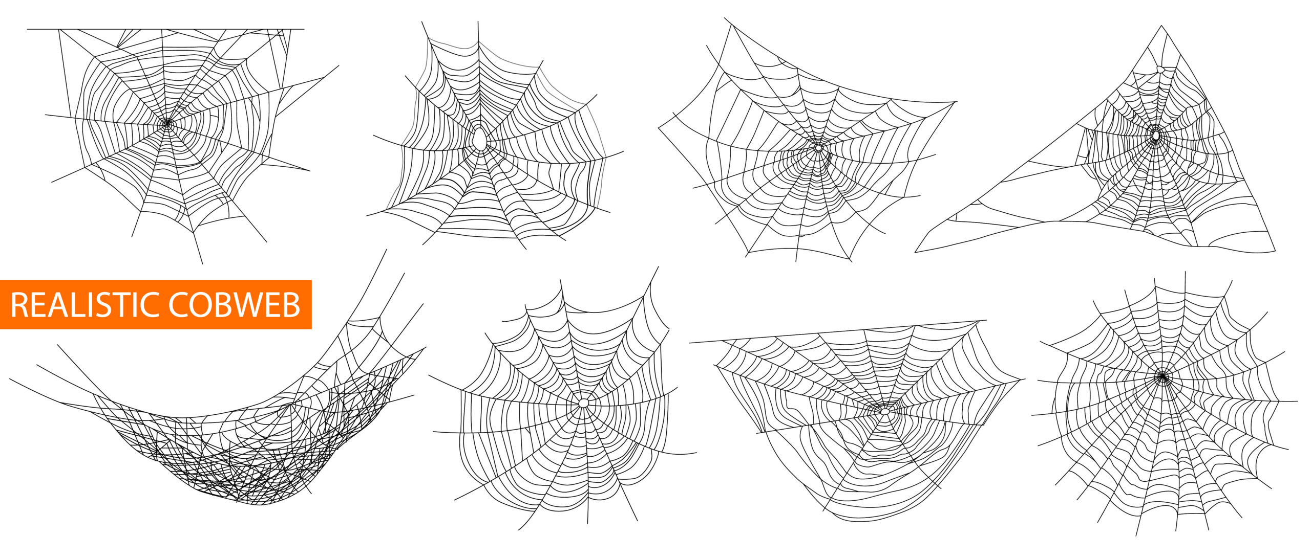 Spider web identification chart comparing orb, cobweb, sheet and funnel webs